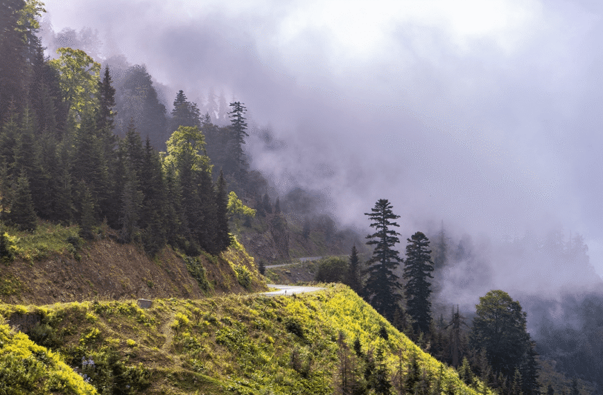 Iceland in Silence: Minimal Landscapes&hellip;